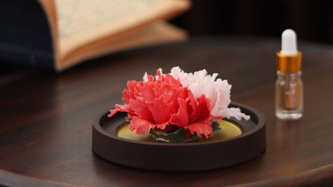 Why the Ceramic Diffuser Is the Perfect Addition to Any Home